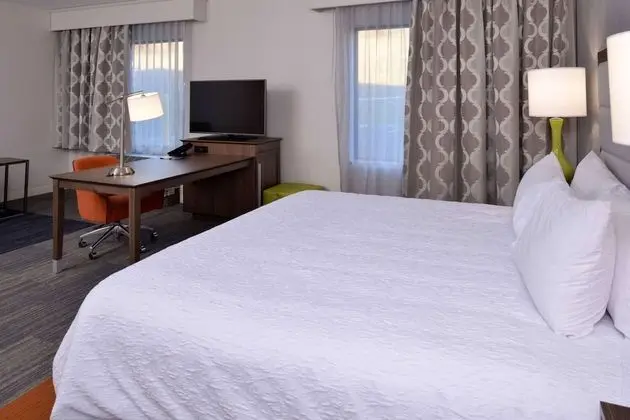 Stüdyo, 1 En Büyük (King) Boy Yatak, Engellilere Uygun, Sigara İçilmez (Roll In Shower)