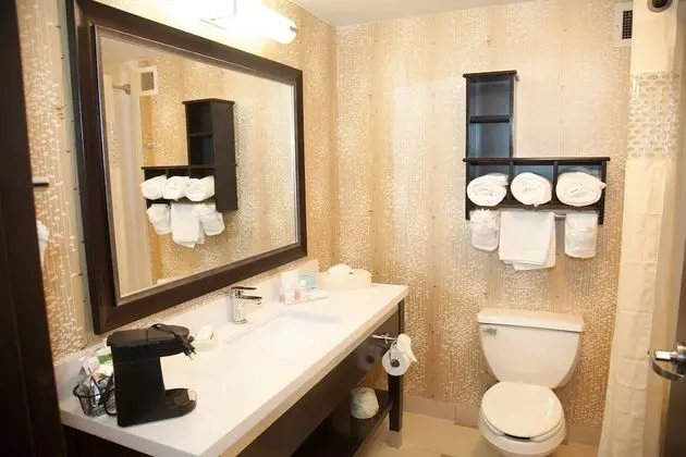 Süit, 1 En Büyük (King) Boy Yatak, Sigara İçilmez, Mutfak (Roll-in Shower)