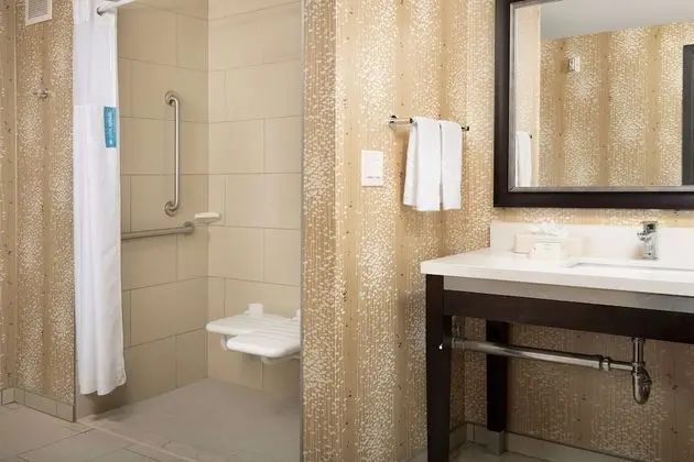Süit, 1 En Büyük (King) Boy Yatak, Sigara İçilmez, Mutfak (Roll-in Shower)