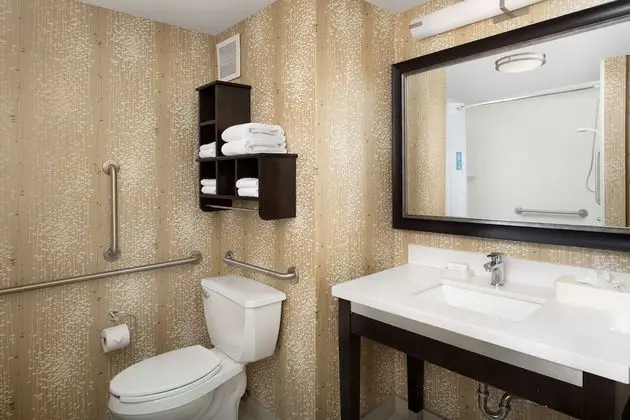 Süit, 1 En Büyük (King) Boy Yatak, Sigara İçilmez, Mutfak (Roll-in Shower)