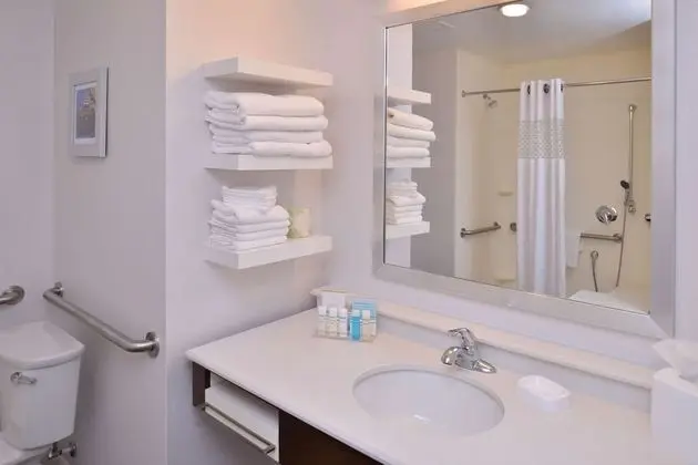 Oda, 1 En Büyük (King) Boy Yatak, Engellilere Uygun, Sigara İçilmez (Roll-in Shower)