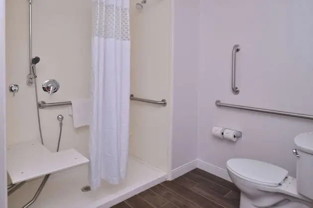 Stüdyo, 1 En Büyük (King) Boy Yatak, Engellilere Uygun (Roll-In Shower)