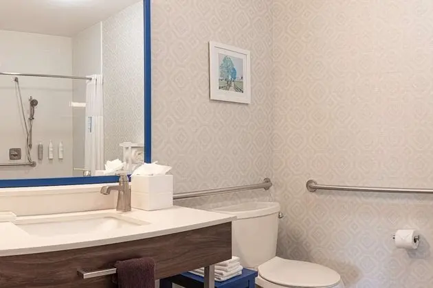 Süit, 1 En Büyük (King) Boy Yatak, Engellilere Uygun, Sigara İçilmez (Roll-in Shower)