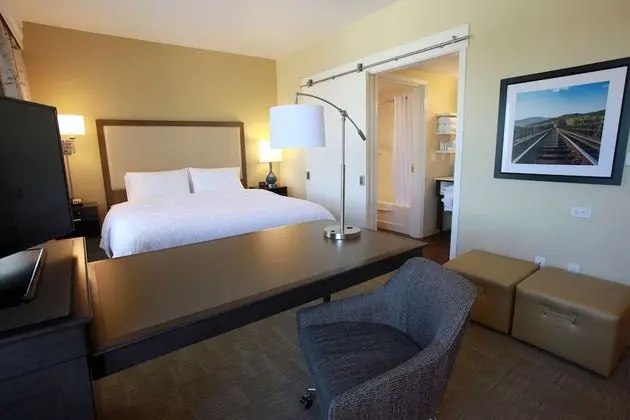 Süit, 1 En Büyük (King) Boy Yatak ve Çekyat, Sigara İçilmez (1 Room)