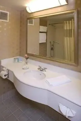 Oda, 1 En Büyük (King) Boy Yatak, Engellilere Uygun (Roll-In Shower)
