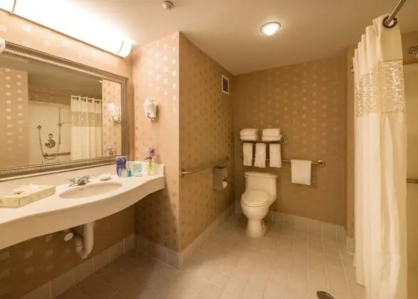 Oda, 1 En Büyük (King) Boy Yatak, Engellilere Uygun (Roll-In Shower)