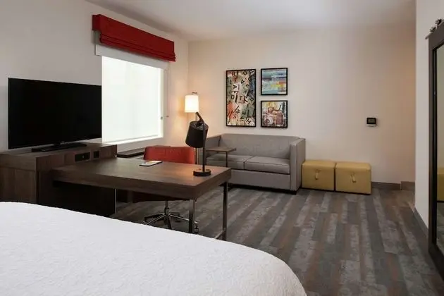 Stüdyo Süit, 1 En Büyük (King) Boy Yatak ve Çekyat (Wet Bar)