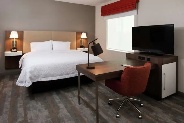 Stüdyo Süit, 1 En Büyük (King) Boy Yatak ve Çekyat (Wet Bar)