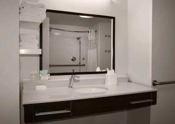 Oda, 1 En Büyük (King) Boy Yatak, Engellilere Uygun, Sigara İçilmez (Roll-in Shower)