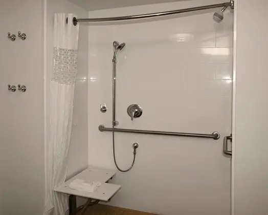 Oda, 1 En Büyük (King) Boy Yatak, Engellilere Uygun, Sigara İçilmez (Roll-in Shower)