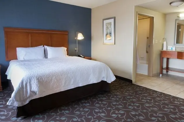 Stüdyo, 1 En Büyük (King) Boy Yatak, Engellilere Uygun, Sigara İçilmez (Mobility & Hearing, Bathtub)