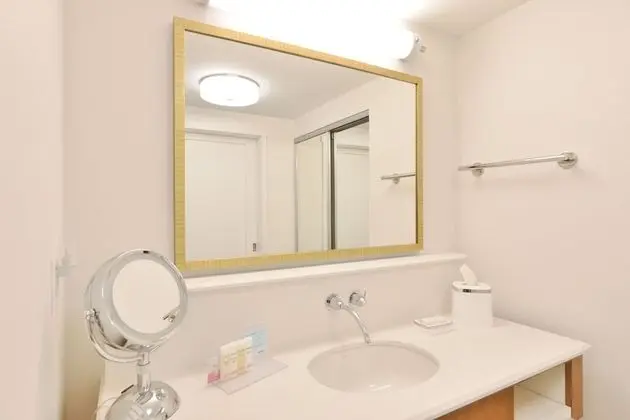 Oda, Engellilere Uygun, Sigara İçilmez (Roll-in Shower)