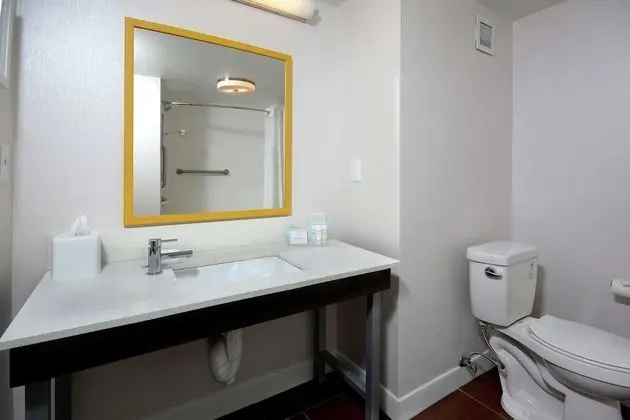Oda, 1 En Büyük (King) Boy Yatak, Engellilere Uygun, Sigara İçilmez (Mobility, Bathtub)