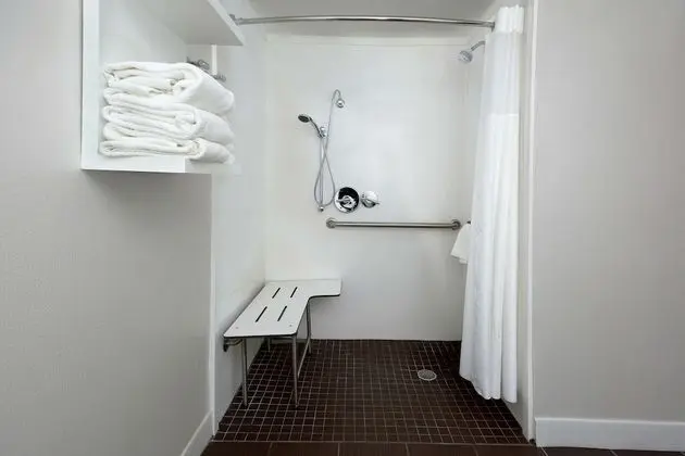 Süit, 1 En Büyük (King) Boy Yatak, Engellilere Uygun, Sigara İçilmez (Mobility, Roll-in Shower)