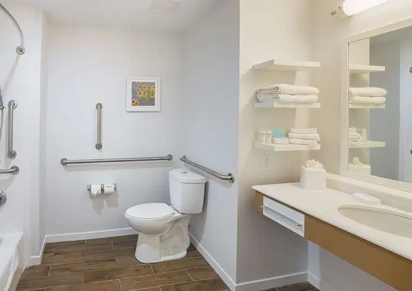 Oda, 1 En Büyük (King) Boy Yatak, Engellilere Uygun, Sigara İçilmez (w/ bathtub)