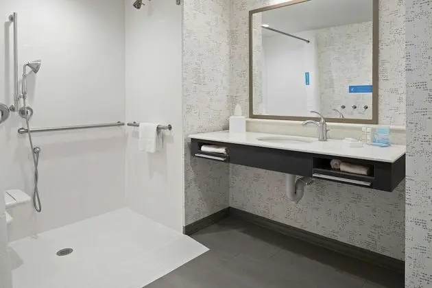 Süit, 1 En Büyük (King) Boy Yatak, Engellilere Uygun (Roll-In Shower)