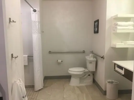 Stüdyo, 1 En Büyük (King) Boy Yatak, Engellilere Uygun, Sigara İçilmez (Roll In Shower)