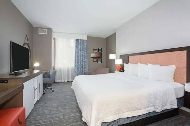 King Accessible Room with Roll-in Shower