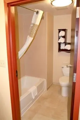 Stüdyo Süit, 1 En Büyük (King) Boy Yatak, Balkon