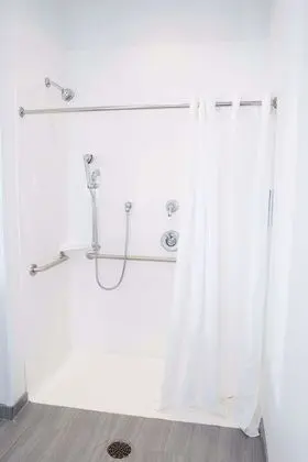 Stüdyo, 1 En Büyük (King) Boy Yatak, Engellilere Uygun (Roll-In Shower, Mobility & Hearing)