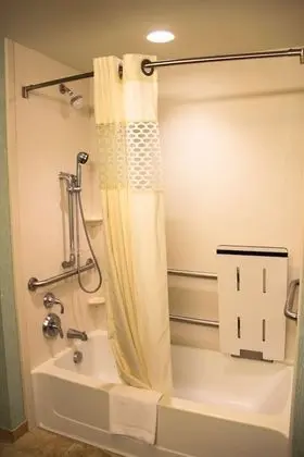Stüdyo, 2 Büyük (Queen) Boy Yatak, Engellilere Uygun, Sigara İçilmez (Mobility & Hearing, Bathtub)