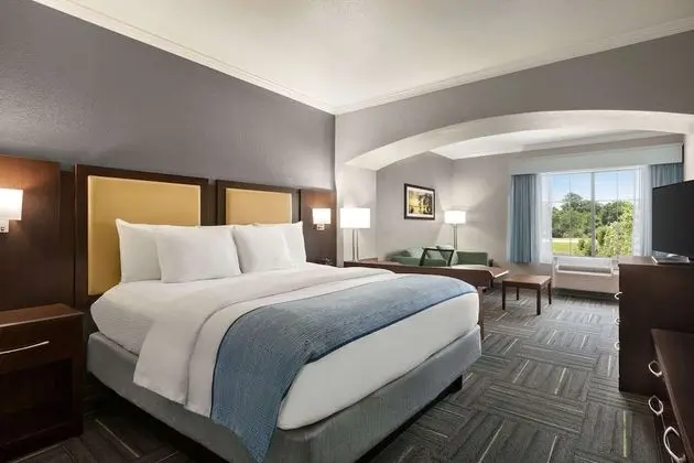 Stüdyo Süit, 1 En Büyük (King) Boy Yatak, Engellilere Uygun, Sigara İçilmez (Mobility/Hearing)