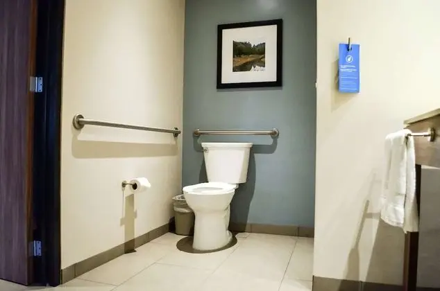 Oda, 1 En Büyük (King) Boy Yatak, Engellilere Uygun, Sigara İçilmez (Roll-in Shower)