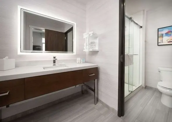 Stüdyo, 1 En Büyük (King) Boy Yatak, Buzdolabı ve Mikrodalga (Wet bar)