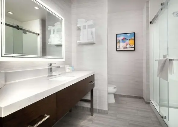 Stüdyo Süit, 1 En Büyük (King) Boy Yatak, Engellilere Uygun (Roll-In Shower)