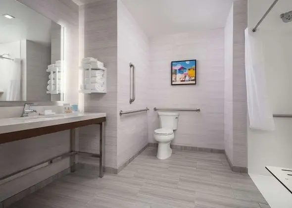 Stüdyo Süit, 1 En Büyük (King) Boy Yatak, Engellilere Uygun (Roll-In Shower)