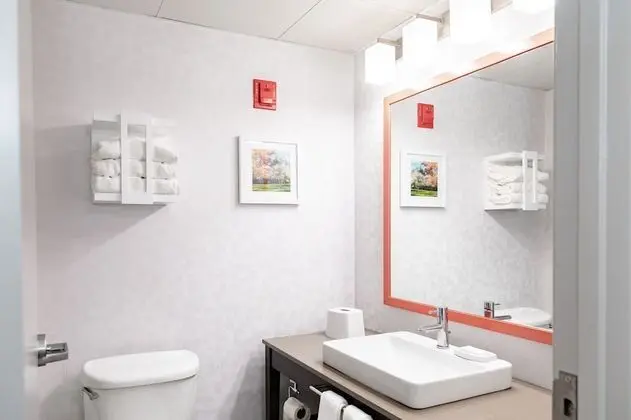 Süit, 1 En Büyük (King) Boy Yatak, Buzdolabı ve Mikrodalga (Wet bar)