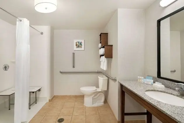 Oda, 1 En Büyük (King) Boy Yatak, Engellilere Uygun, Sigara İçilmez