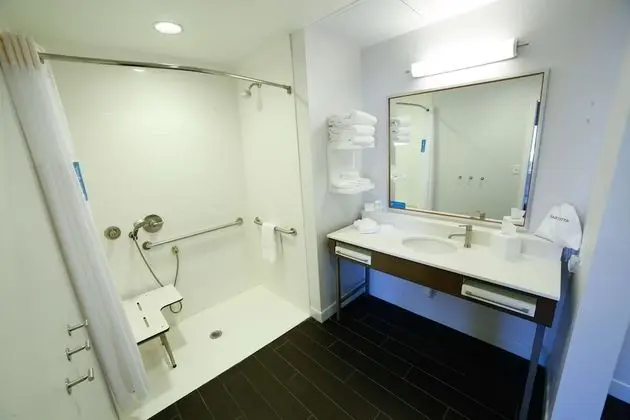 Stüdyo, 1 En Büyük (King) Boy Yatak, Engellilere Uygun, Sigara İçilmez (Roll-In Shower)