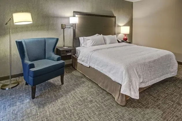 ADA Accessible, Studio, 1 King Bed, Accessible, Bathtub (Mobility & Hearing)