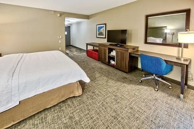 ADA Accessible, Studio, 1 King Bed, Accessible, Bathtub (Mobility & Hearing)