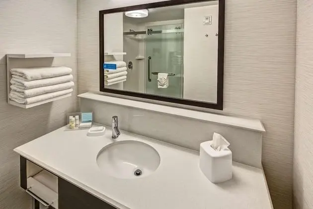 ADA Accessible, Studio, 1 King Bed, Accessible, Bathtub (Mobility & Hearing)