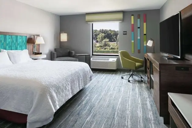 Oda, 1 En Büyük (King) Boy Yatak, Engellilere Uygun, Küvet (Mobility & Hearing)