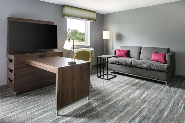 Stüdyo Süit, 1 En Büyük (King) Boy Yatak ve Çekyat, Engellilere Uygun (Mobility & Hearing)