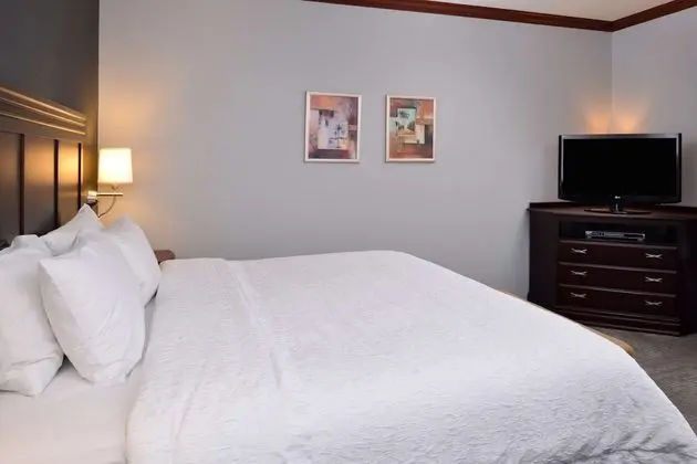 Bir King-Size Yataklı Oda (Sigara İçilmez)