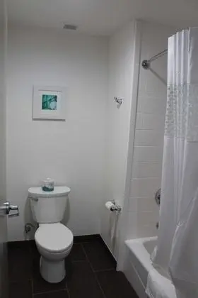 Stüdyo, 1 En Büyük (King) Boy Yatak, Engellilere Uygun, Sigara İçilmez (Bathtub)