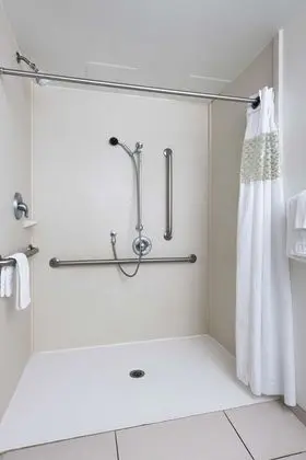 Süit, 1 En Büyük (King) Boy Yatak, Engellilere Uygun (Mobility, Roll-in Shower)
