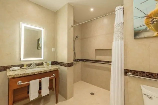 Oda, 1 Büyük (Queen) Boy Yatak ve Çekyat, Engellilere Uygun (Mobility & Hearing, Roll-in Shower)