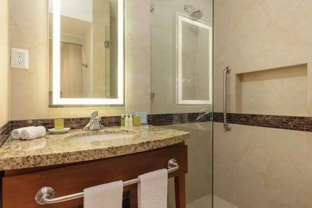 Oda, 1 Büyük (Queen) Boy Yatak ve Çekyat, Engellilere Uygun (Mobility & Hearing, Roll-in Shower)