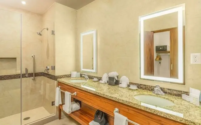 Süit, 1 En Büyük (King) Boy Yatak, Sigara İçilmez (Wet Bar)