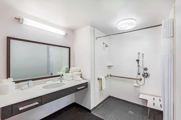 Süit, 1 En Büyük (King) Boy Yatak, Engellilere Uygun, Sigara İçilmez (Roll In Shower)