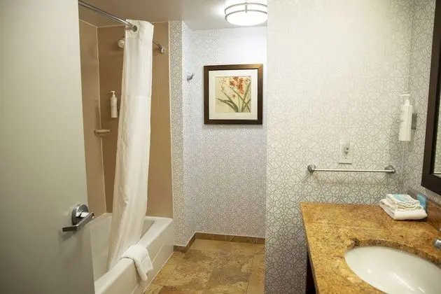 Oda, 1 En Büyük (King) Boy Yatak, Sigara İçilmez