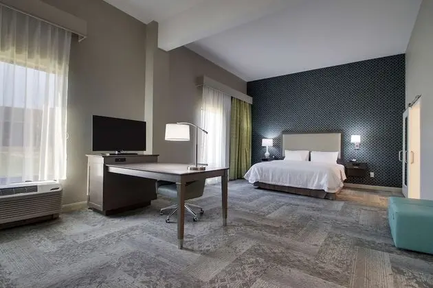 Stüdyo, 1 En Büyük (King) Boy Yatak, Buzdolabı ve Mikrodalga (Wet Bar)