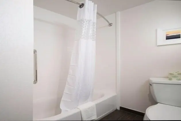 Stüdyo, 1 En Büyük (King) Boy Yatak, Engellilere Uygun, Sigara İçilmez (Roll In Shower)