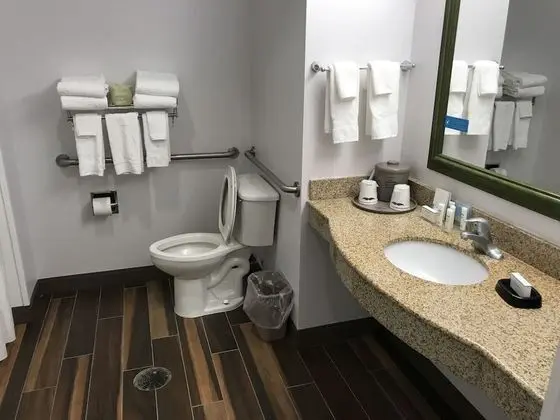 Oda, 1 En Büyük (King) Boy Yatak, Engellilere Uygun, Sigara İçilmez (Roll-in Shower)