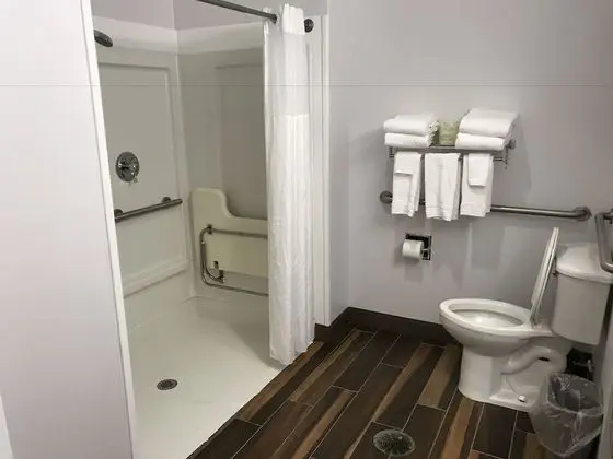 Oda, 1 En Büyük (King) Boy Yatak, Engellilere Uygun, Sigara İçilmez (Roll-in Shower)